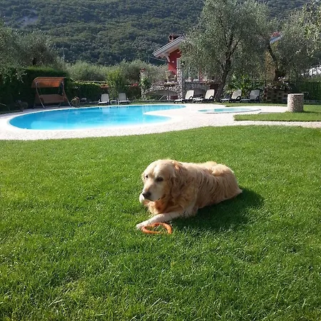 Eco Benacus Hotel 3*